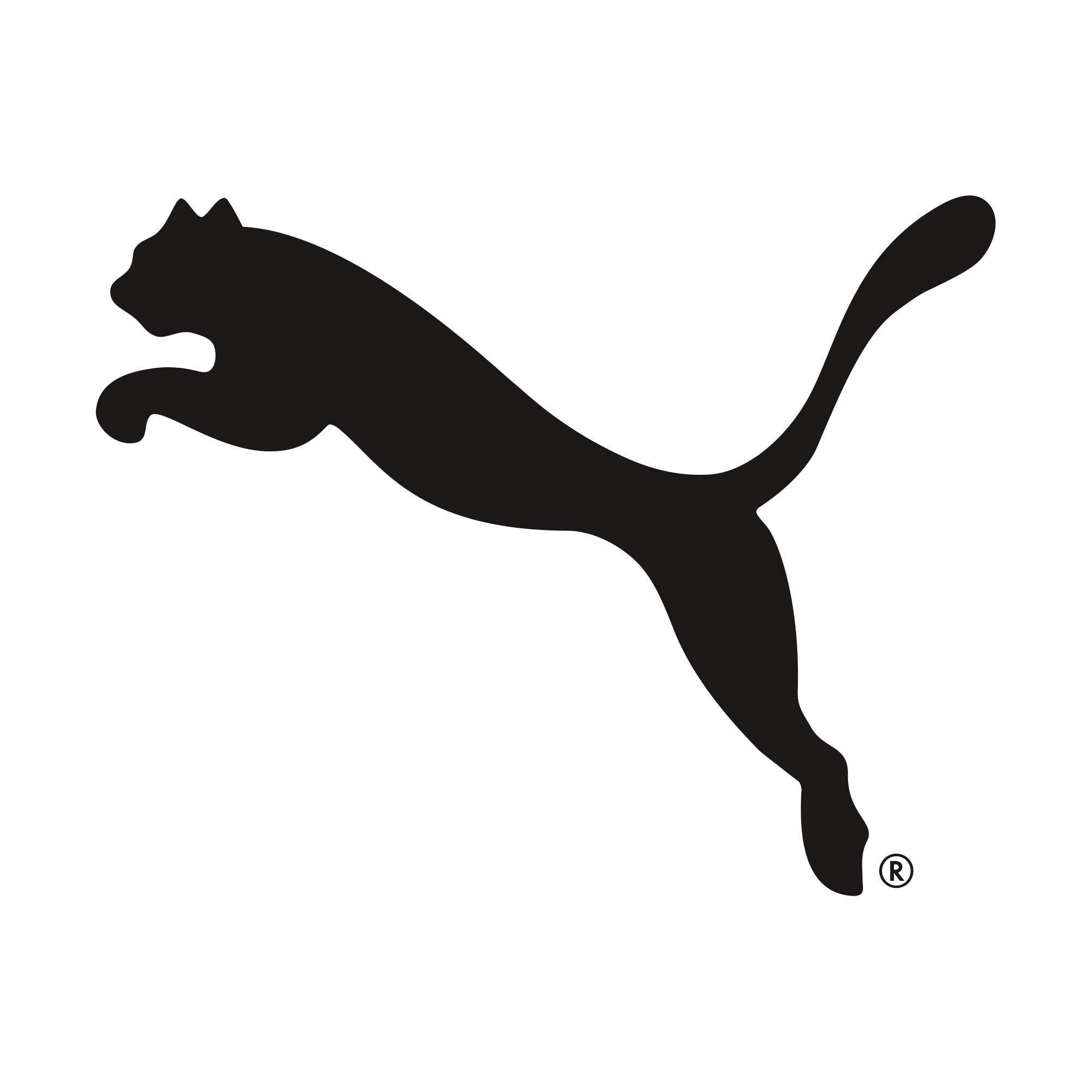 PUMA GROUP company logo
